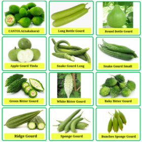 Best-Organic-Vegetable-Seeds-Sams-Garden-Store