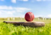 Cricket Fast Live Line API: Swift Updates at Your Fingertips