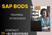 Call@7993762900.No.1 SAP BODS (Business Objects Data Services) Online Training institute in Hyderabad, Bangalore, Pune,Chennai,Delhi,india,USA,UK,Canada,Dubai,Japan