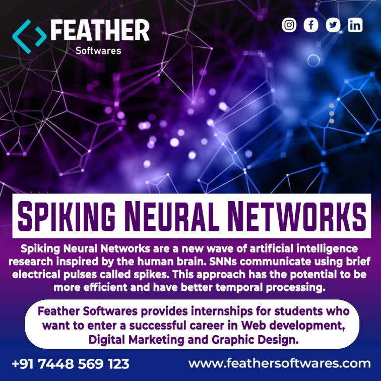 Spiking Neural Networks