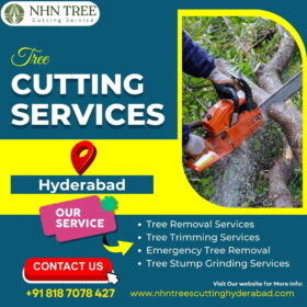 Tree-Cutting-Services-in-Hyderabad