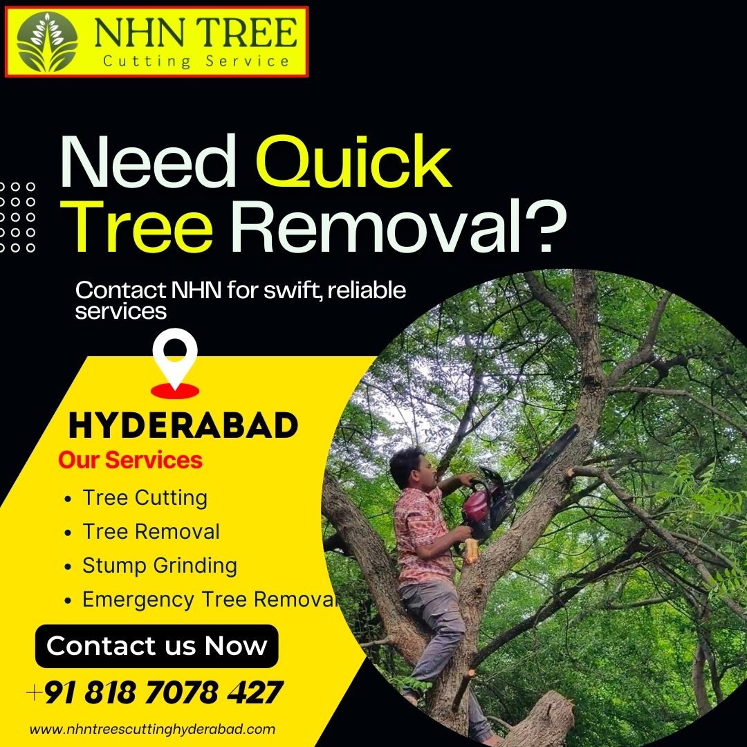 Safe and Affordable Tree Removal Services in Hyderabad – Call NHN Today!