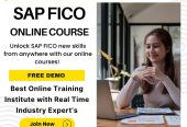 LEARN SAP FICO TRAINING IN HYDERABAD FROM INSIGHT IT