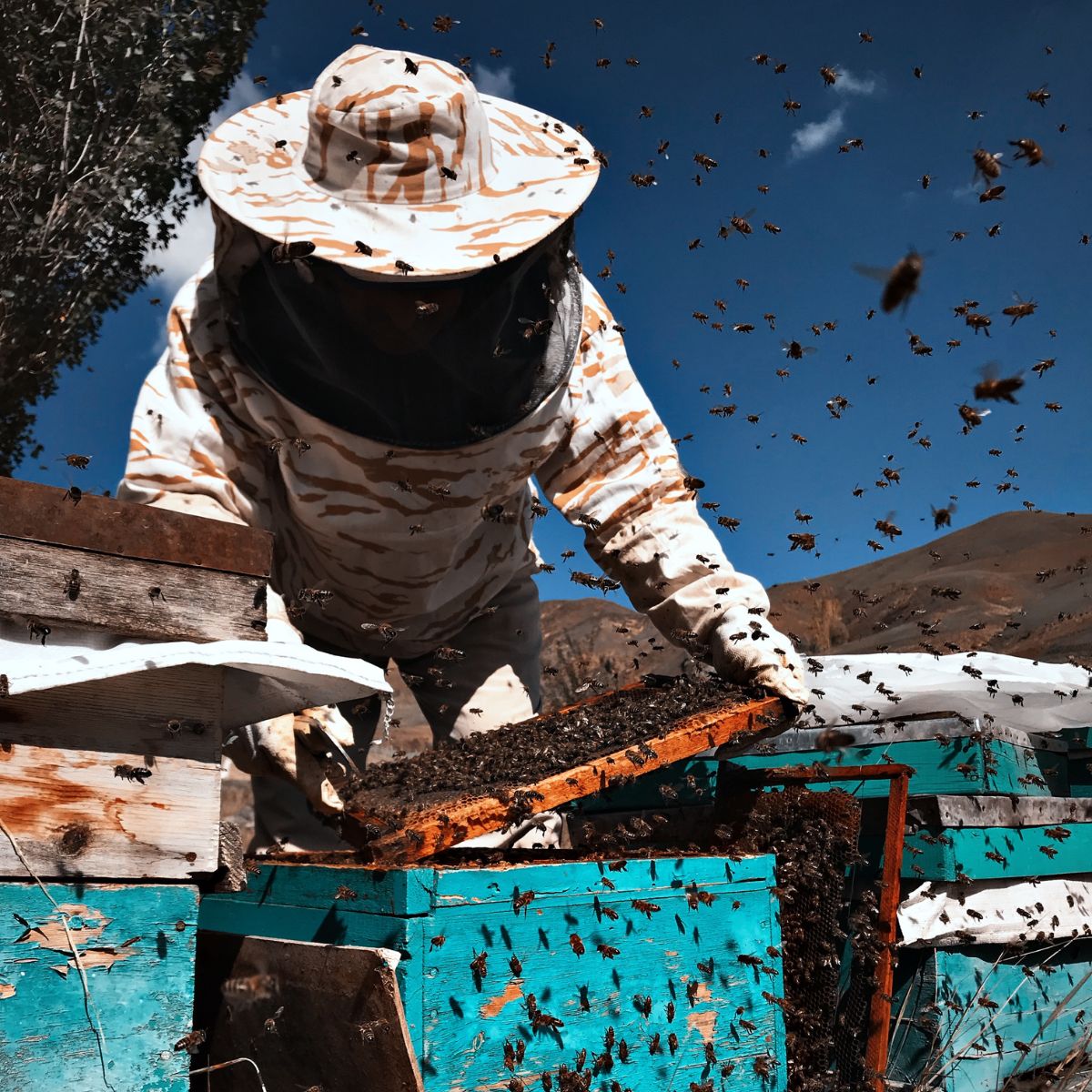 Friendly Pest Control