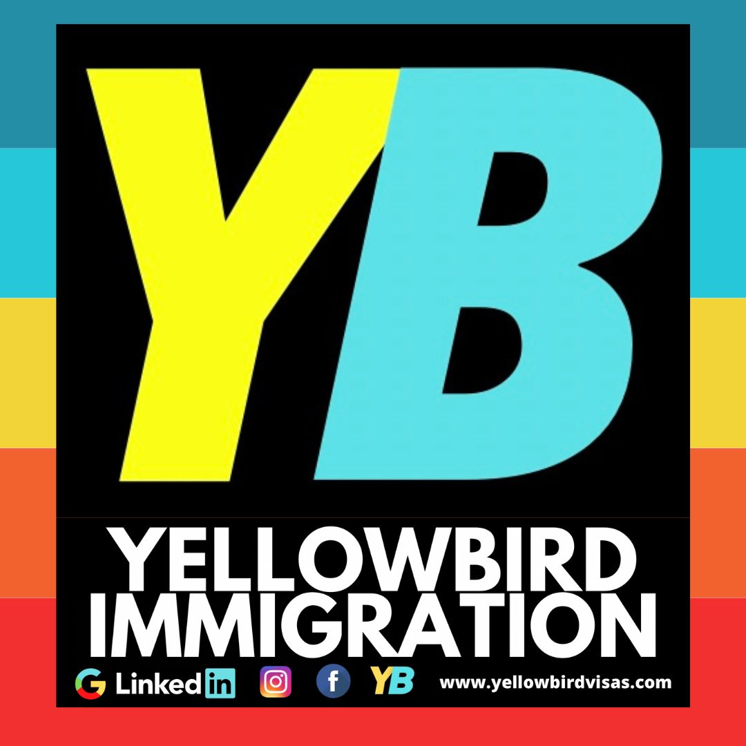 Best Immigration Consultant in Delhi | Yellowbird Immigration