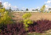#Vasudaika Henleywoods – HMDA Approved Villa Plots for sale In Gollur – Bangalore Highway – Hyderabad