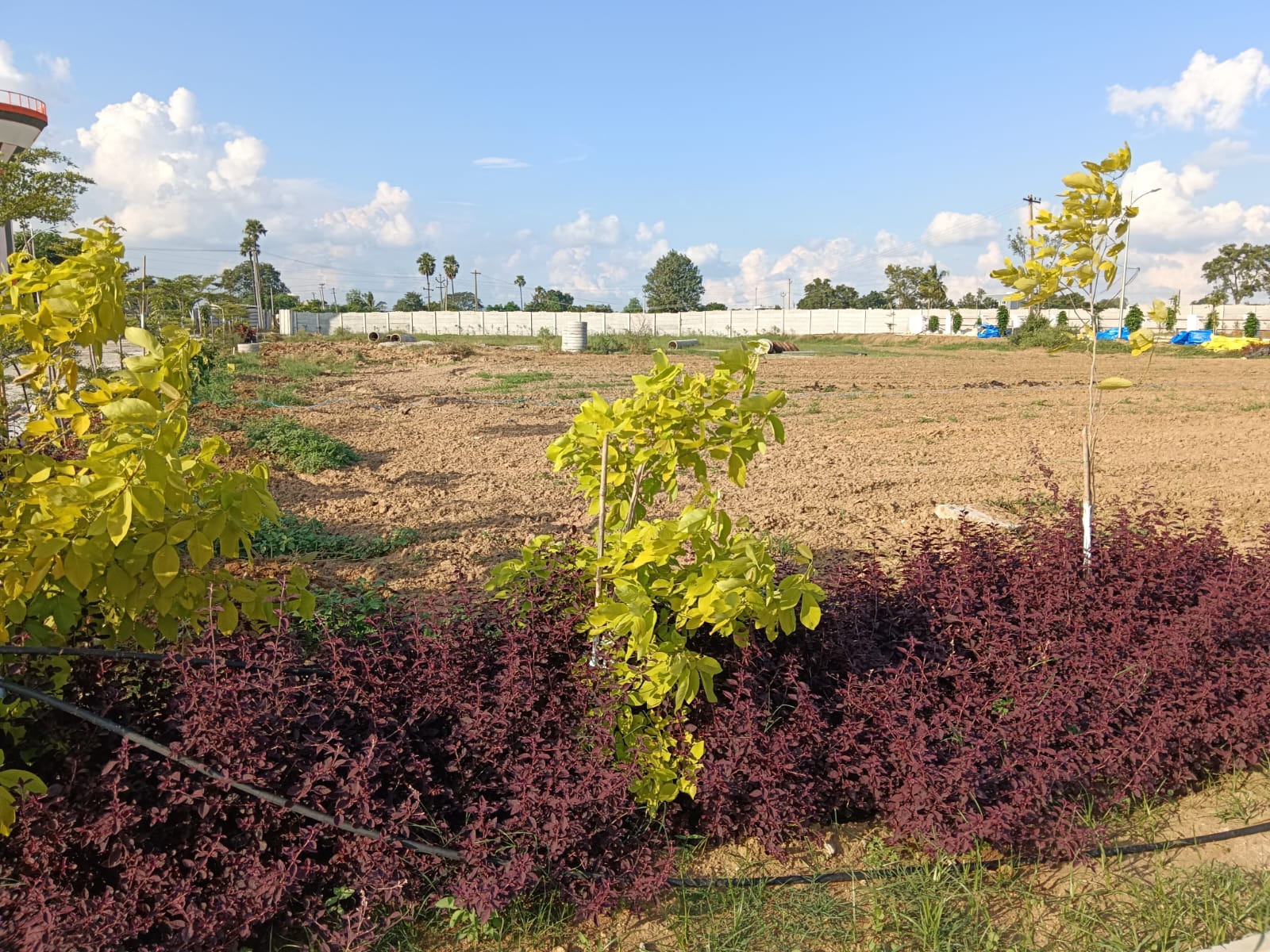 #Vasudaika Henleywoods – HMDA Approved Villa Plots for sale In Gollur – Bangalore Highway – Hyderabad