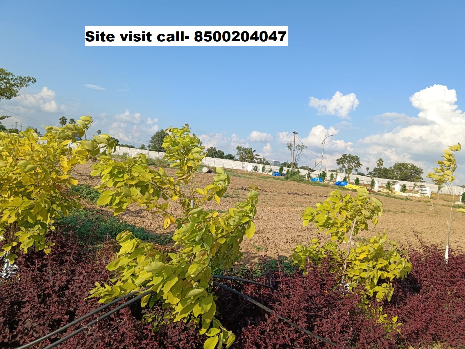 #Open plots for sale In Gollur#Bangalore Highway#Statue of equality – HYderabad – 8500204047
