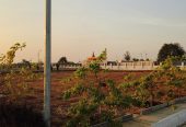 HMDA GATED RESIDENTIAL OPEN PLOTS With Clubhouse & Swimming pool @GOLLUR, Near Shamshabad – 8500204047