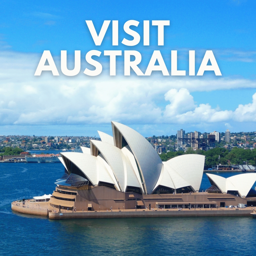 Best Immigration Consultant in Delhi | Yellowbird Immigration