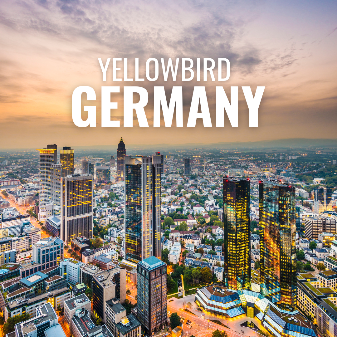 Best Immigration Consultant in Delhi | Yellowbird Immigration