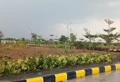 PLOTS FOR SALE IN