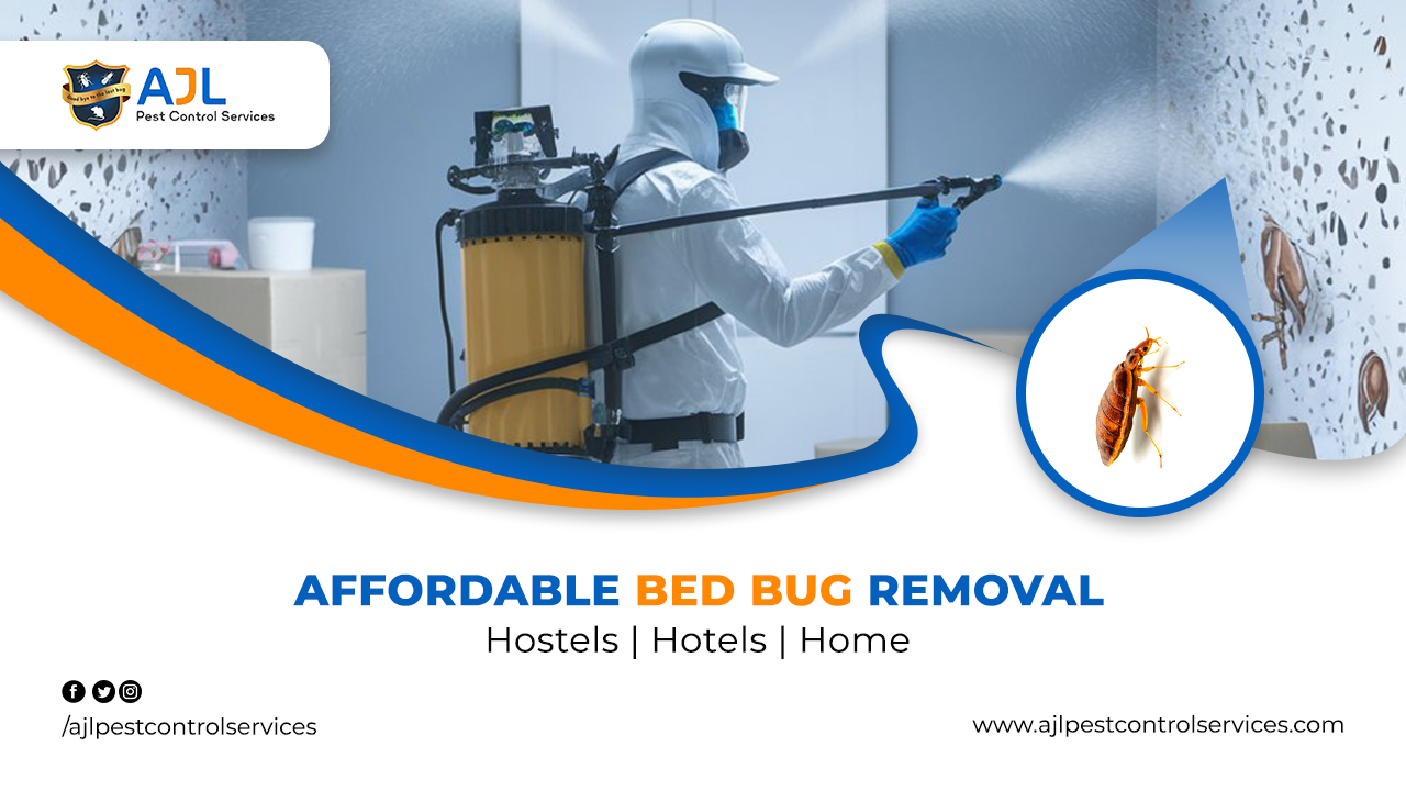 Bed Bug Pest Control Services Hyderabad