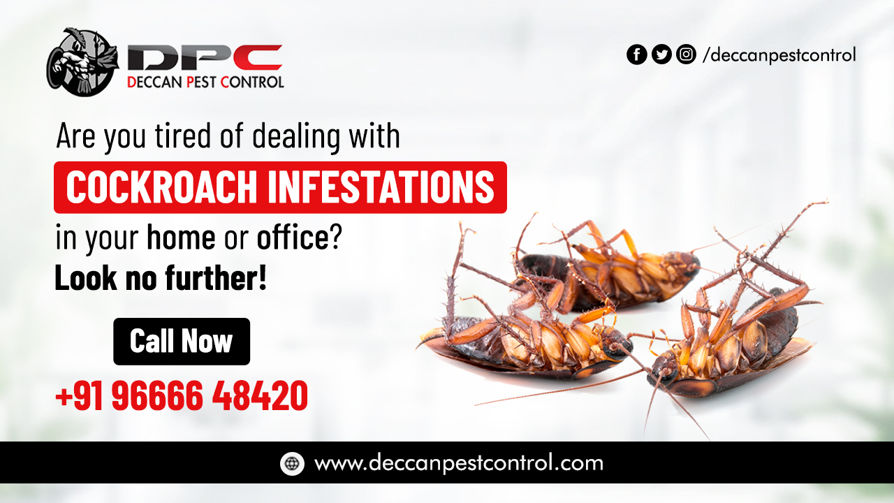 Best Cockroach Control Services in Hyderabad