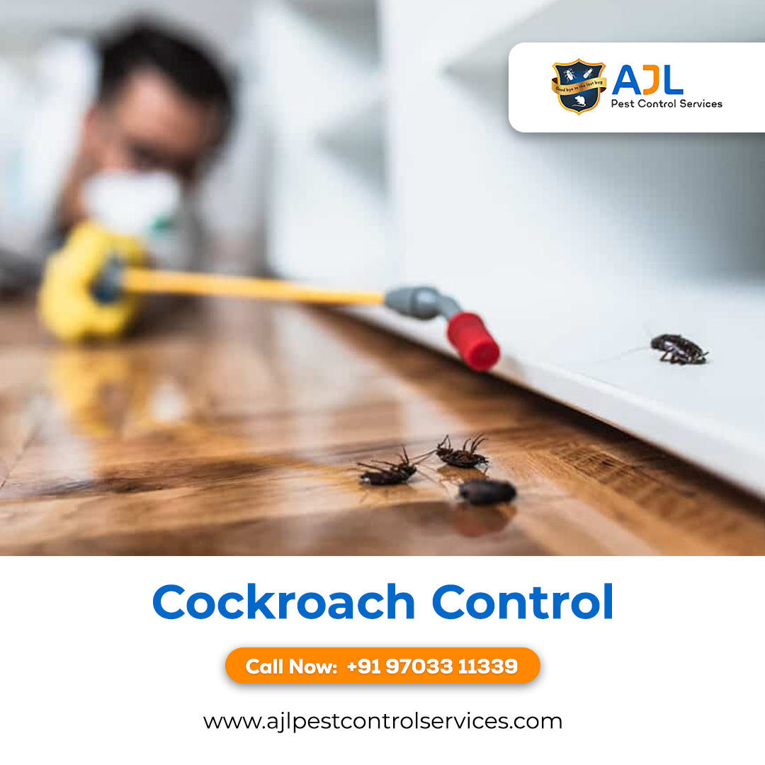 Cockroach Control Services in Hyderabad
