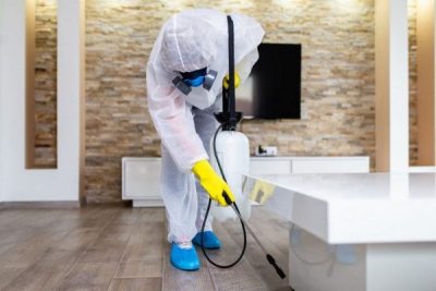 Commercial-Pest-Control-Services-in-Hyderabad