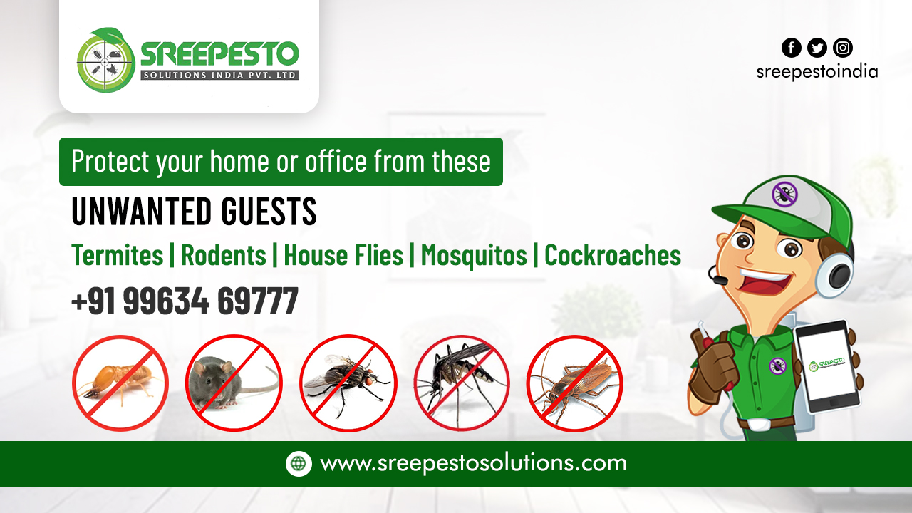 Commercial Pest Control Services in Hyderabad