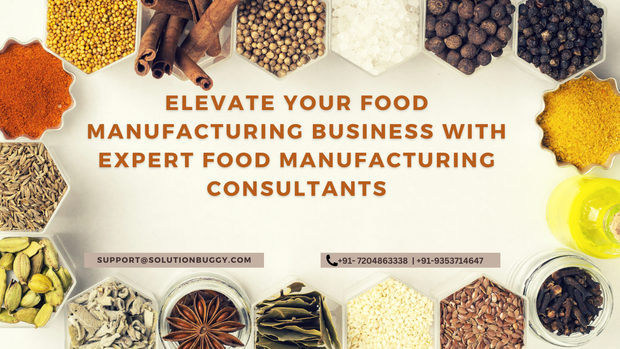food manufacturing consultants