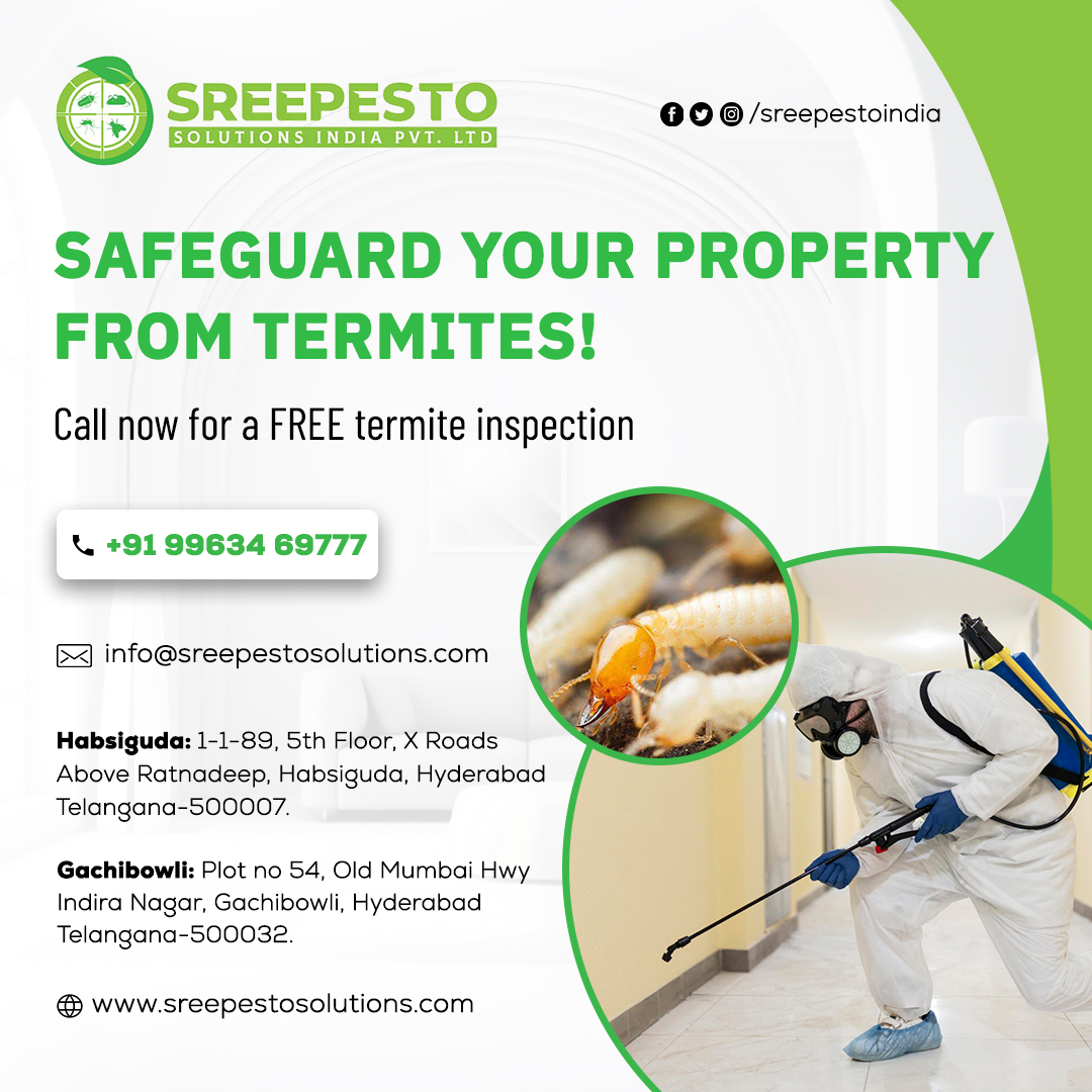 Termite Control Services in Hyderabad