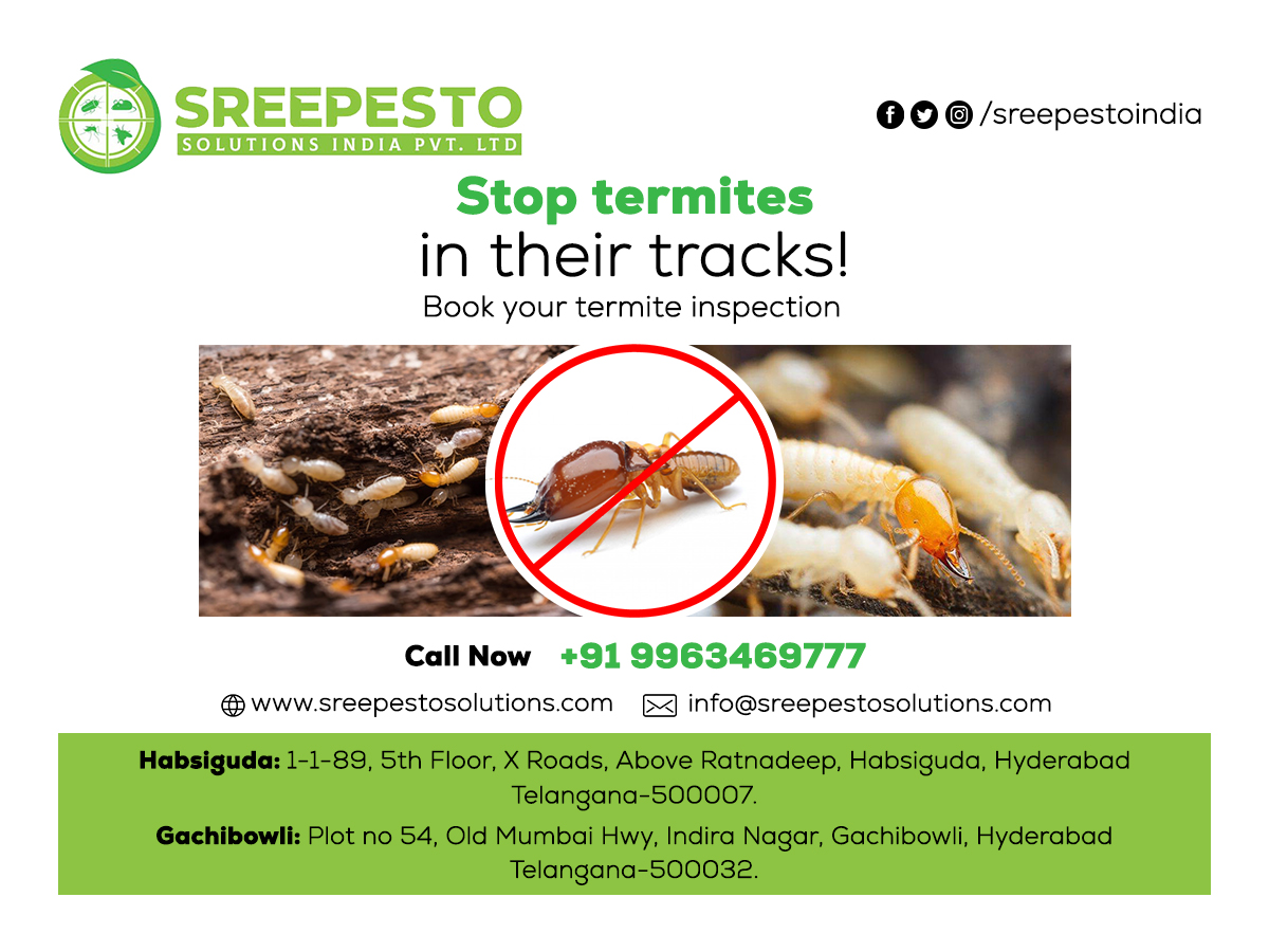 Termite Control in Hyderabad