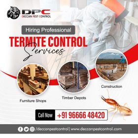 Termite-Pest-Control-Service-in-Secunderabad-3