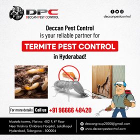 Termite-Pest-Control-in-Hyderabad-2