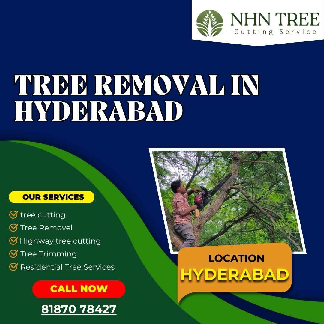 Best Tree Removal In Hyderabad