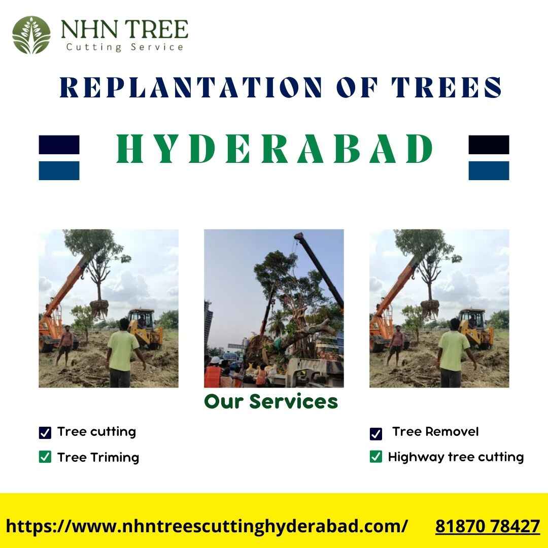 Best Replantation of Trees In Hyderabad