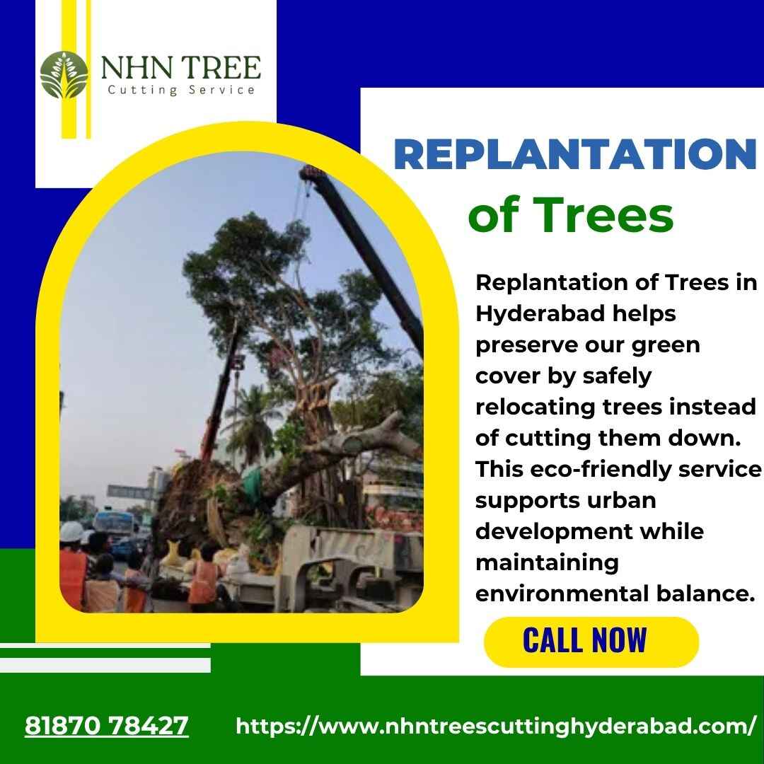 Professional Replantation of Trees in Hyderabad