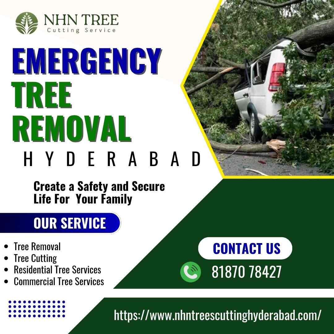 Emergency Tree Removal in Hyderabad