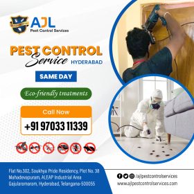 Best-Pest-Control-Services-in-Hyderabad-1