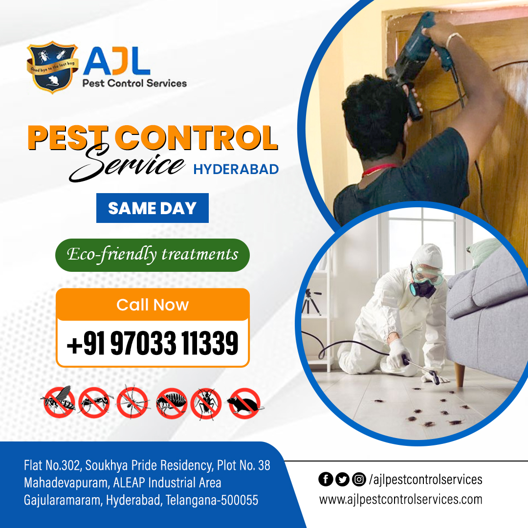 Pest Control Services in Hitech city