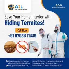 Termite-Control-Services