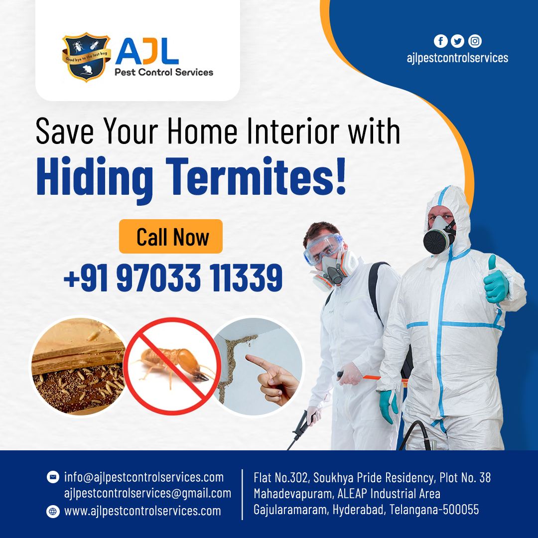 Termite Control Services in Hyderabad