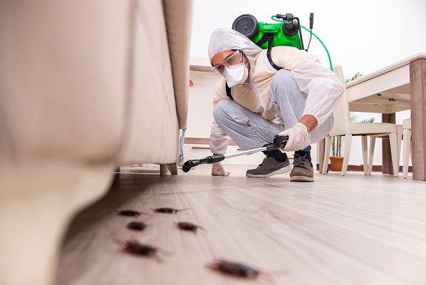 Pest Control Services in Kondapur
