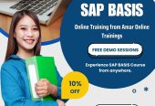 SAP Online Training in Hyderabad | Amar Online Trainings