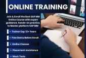 SAP Online Training in Hyderabad | Amar Online Trainings