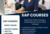 SAP BASIS Online Training in Hyderabad | Amar Online Trainings