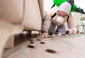 Best Pest Control Services in Hyderabad – AJL Pest Control