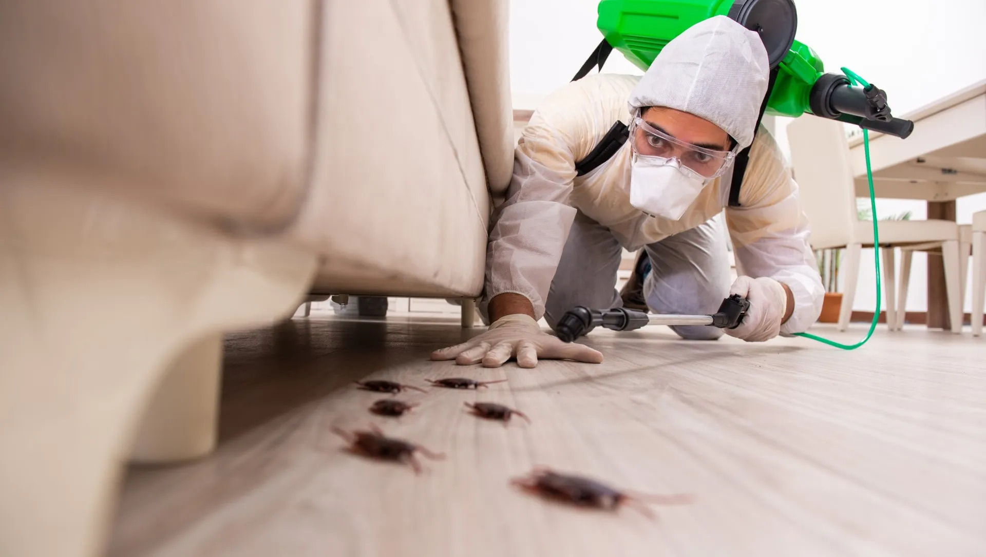 Best Pest Control Services in Hyderabad – AJL Pest Control