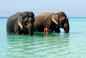 Andaman and nicobar islands package from kerala