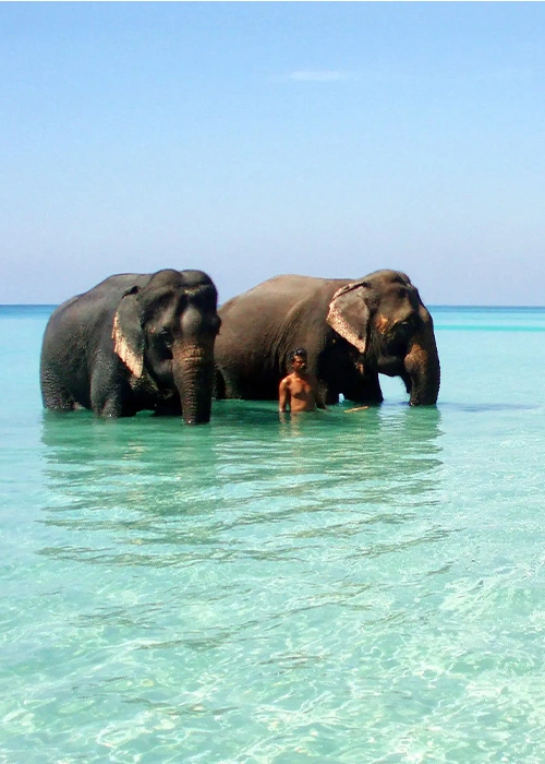 Andaman and nicobar islands package from kerala