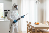Best Pest Control Services in Hyderabad – AJL Pest Control