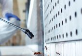 Best Pest Control Services in Hyderabad – AJL Pest Control