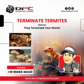 Deccan_SM_04-12-2024