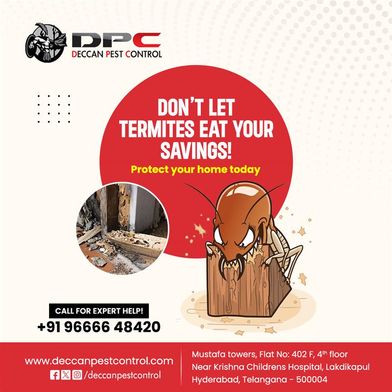 Termite Pest Control Service