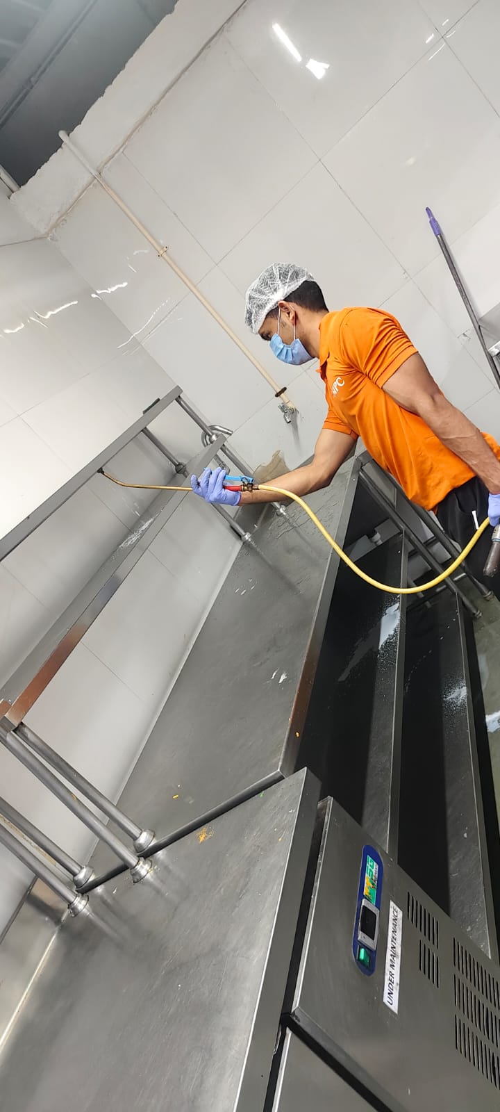 Best Pest Control Services In Hyderabad