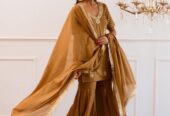 Premium Traditional Indian Dresses for Women Online at JOVI India