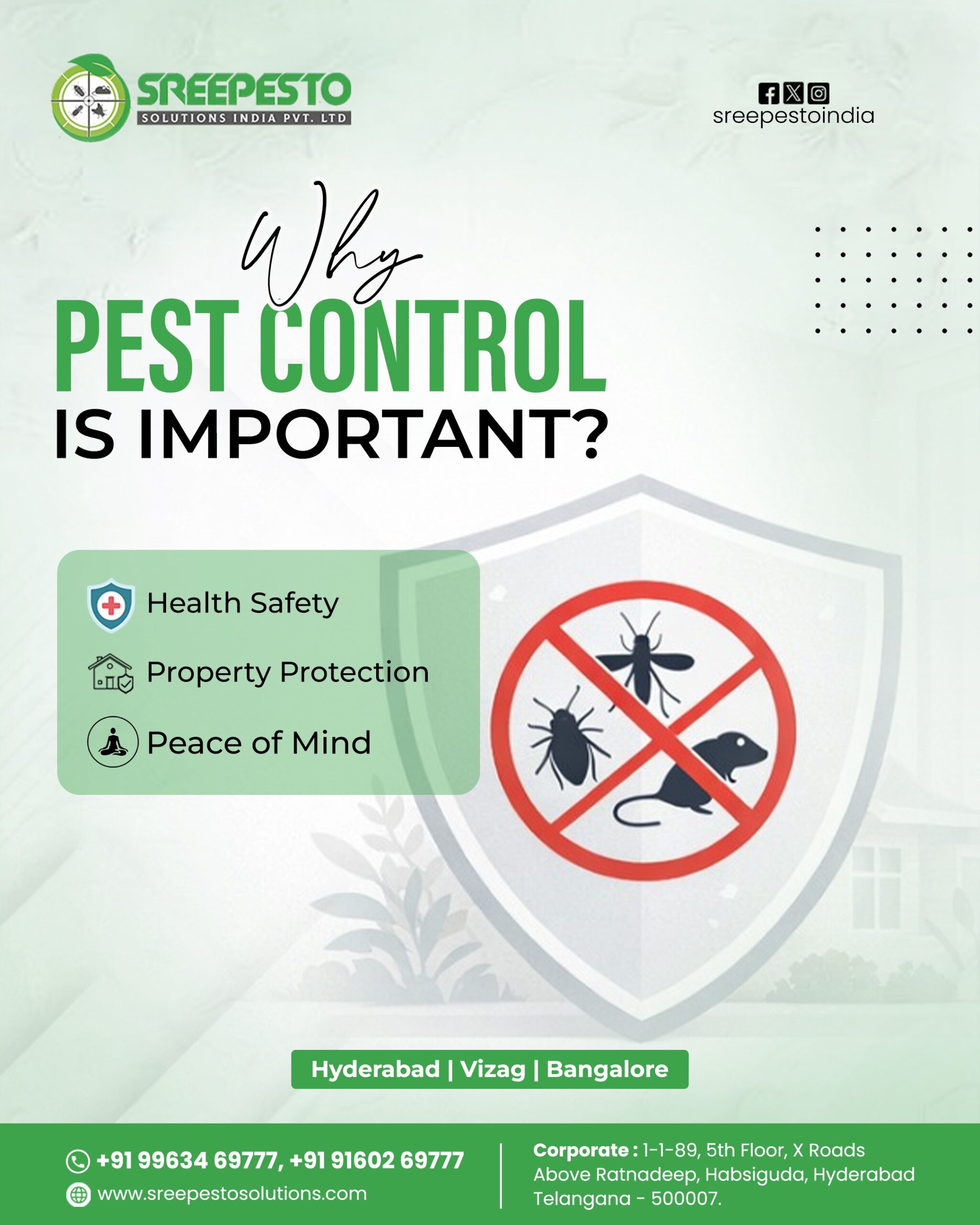 Termite Control in Hyderabad