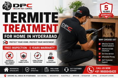 Termite-Treatment-for-Home-in-Hyderabad-1